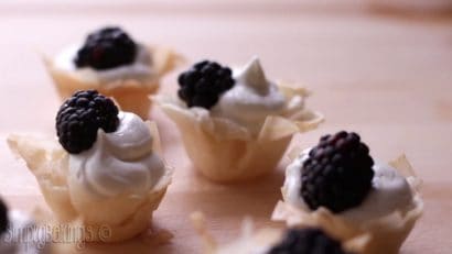 best mini phyllo tarts