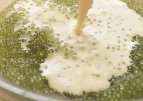 pouring milk into tapioca pearls