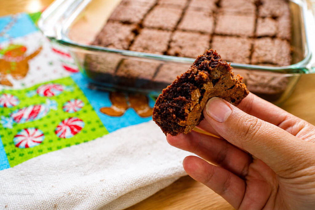 girl holding a piece of cut brownies 