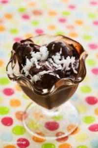 Vegan Chocolate Ice Cream dairy free