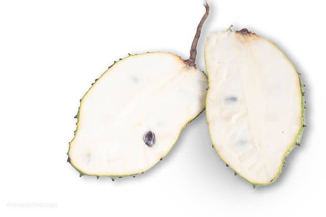 soursop or guyabano fruit