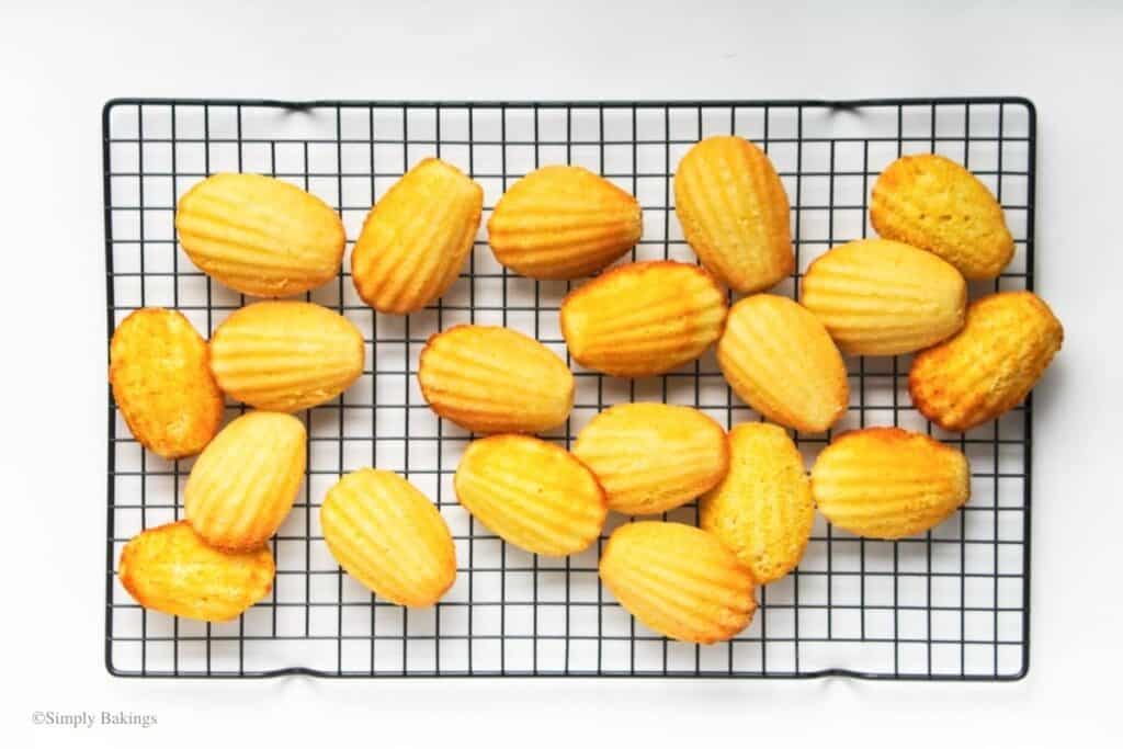cooled lemon madeleines on a wire rack