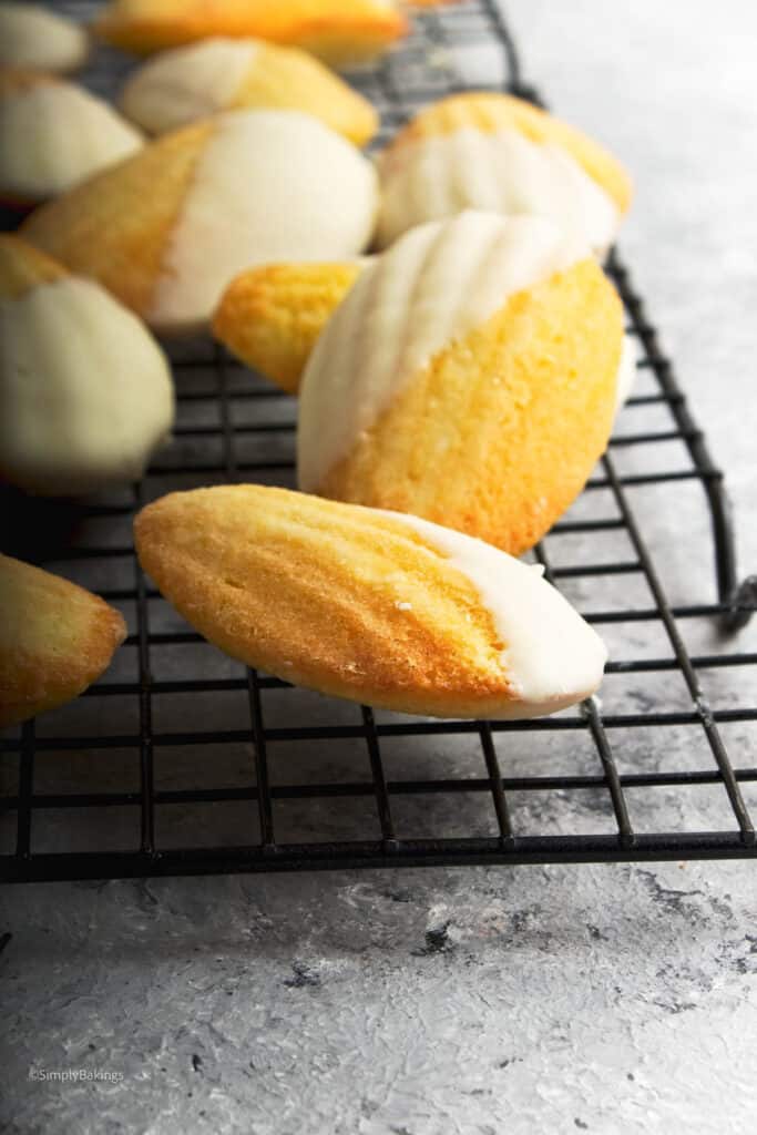 fluffy and elegant lemon madeleines with melted white chocolate