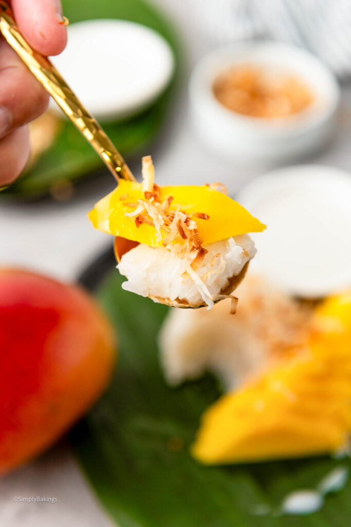 A spoonful of Filipino Mango Sticky Rice
