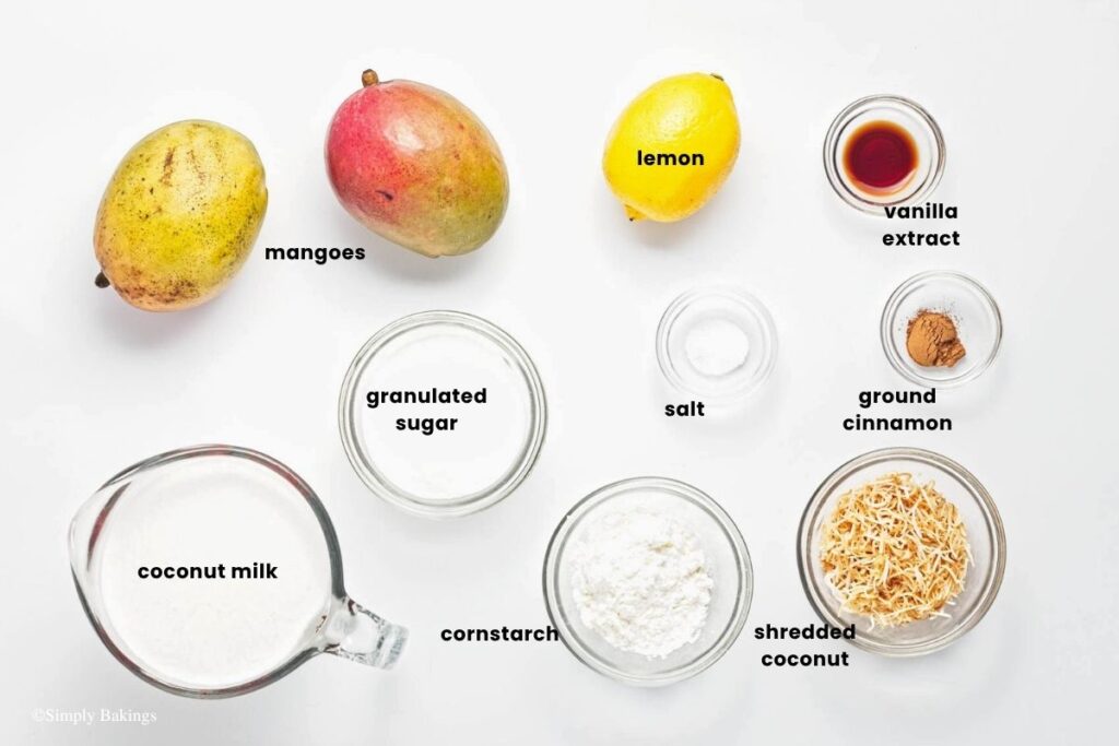 All ingredients for mango coconut pudding in bowls